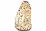 Colorful Polished Free-Standing Jasper Formation - Madagascar #323084-1
